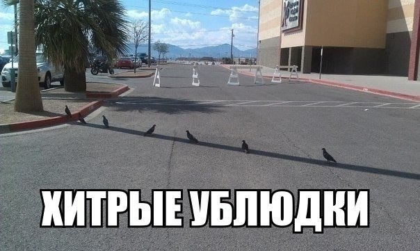 Всяко - разно 49 ))) Всяко - разно 49 )))