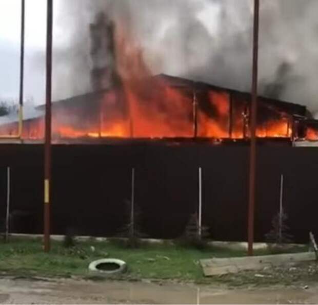 Сгорел зоопарк. В каком городе сгорел зоопарк. В каком городе сгорел зоопарк. Пожар в зоопарке сегодня. Сгорел зоопарк.