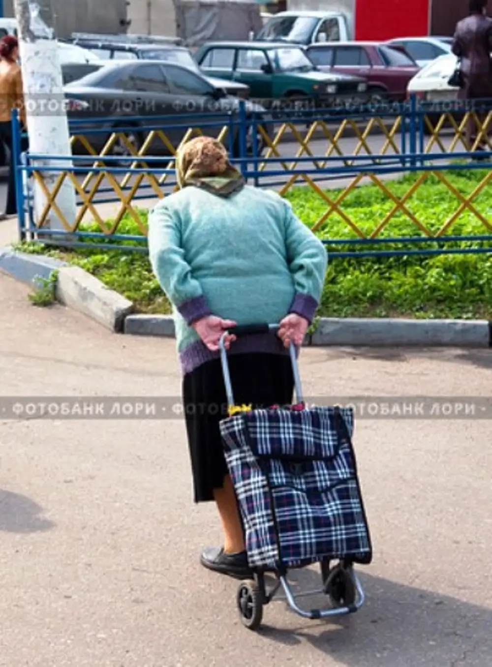 Бабка с сумкой на колесиках