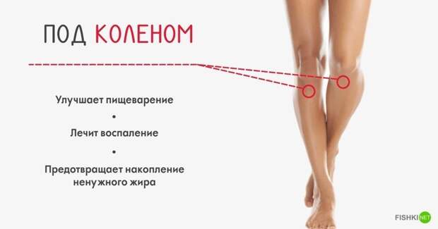 10 секретных точек на теле, благодаря которым можно использовать организм на все 100% долголетие, массаж, тело, точки на теле
