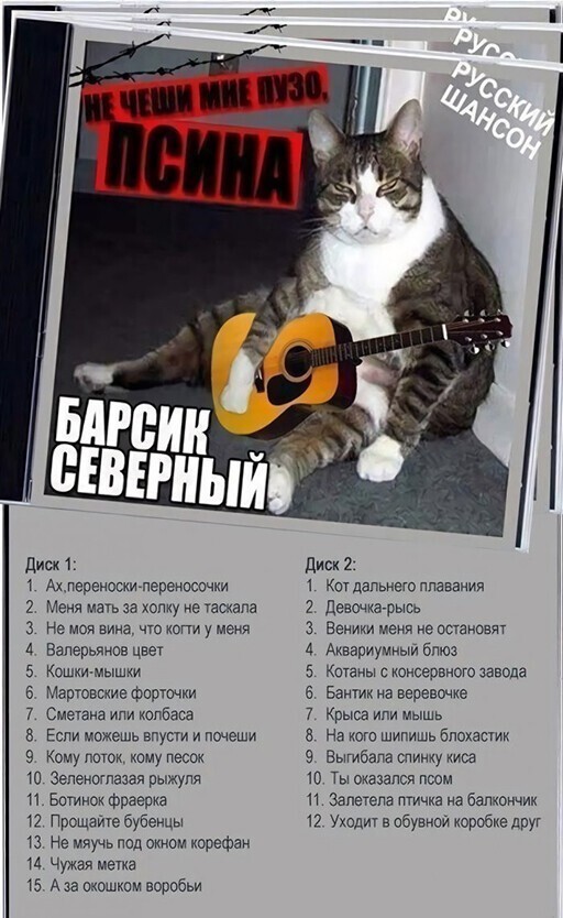 Подборка замечательных весёлых картинок