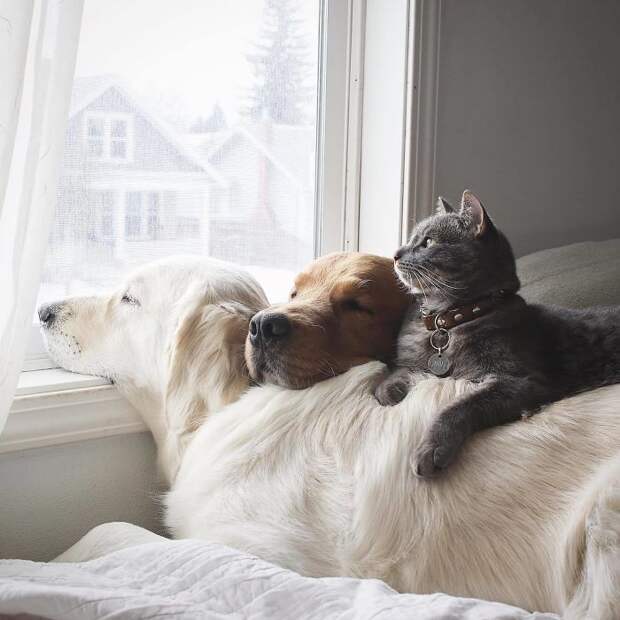 Capturing Unexpected Moments Sometimes Turn Out To Be The Most Memorable Of All