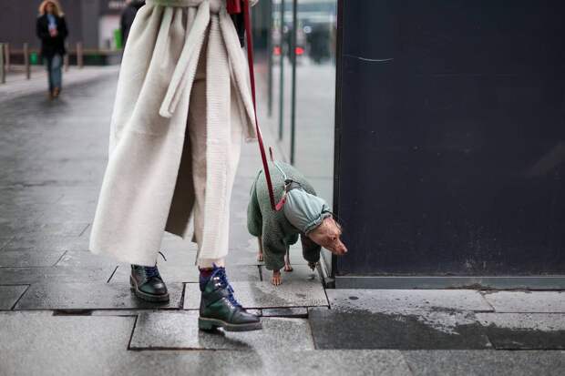 Москвичей предупредили о заморозках