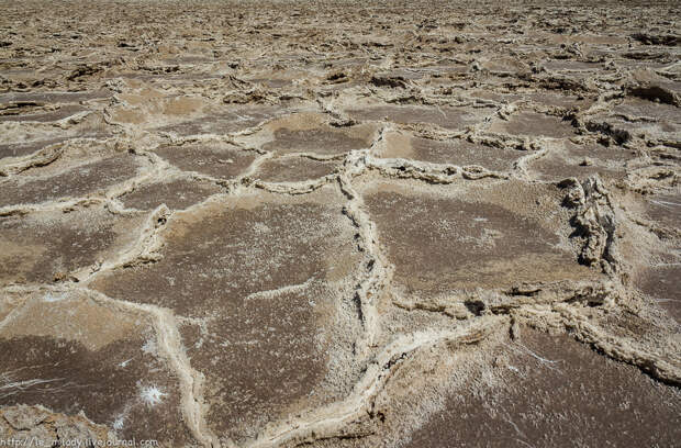 Salt Flat