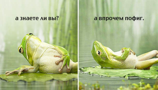 Совет дня