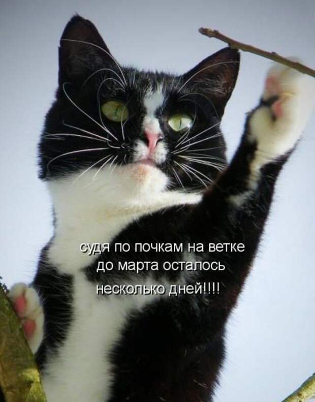 Давайте улыбаться вместе! :) (23 улыбки)
