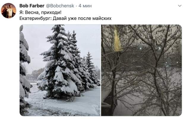 Подборка картинок. Вечерний выпуск (20 фото)