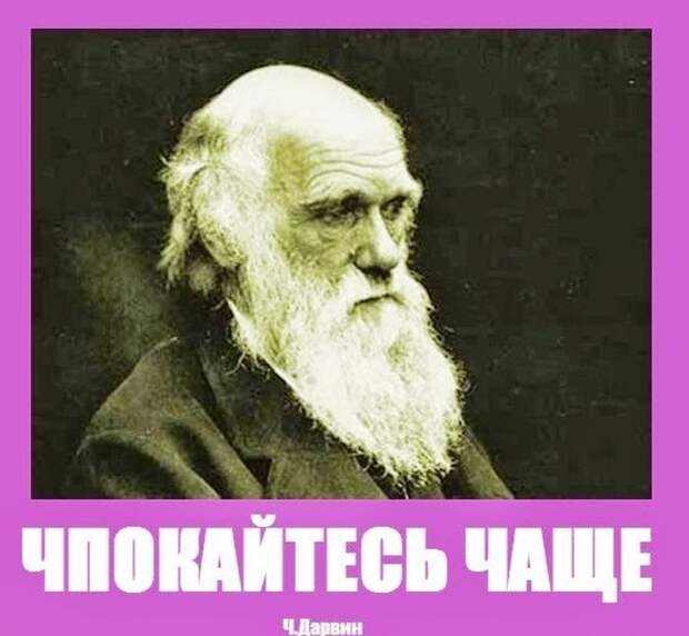 Прикольные картинки Прикольные картинки