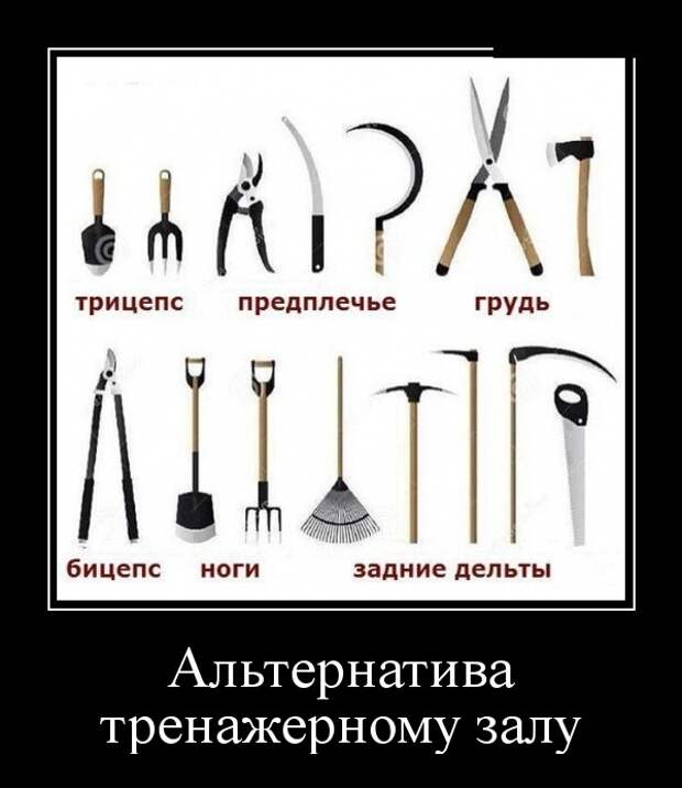 www.vsyako.net