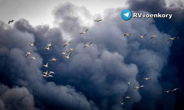 Посольство США атаковано в Багдаде (ВИДЕО)