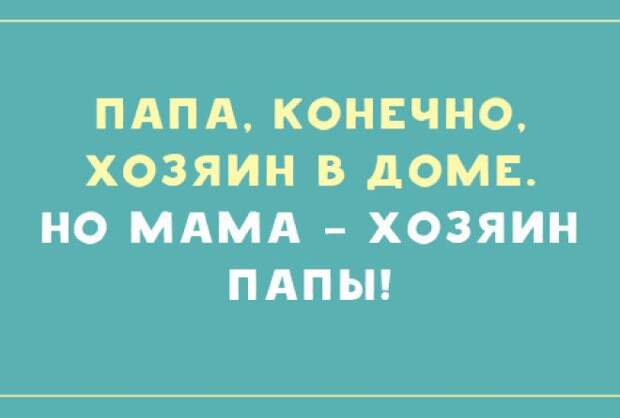 А если и подсмеиваемся над ними, то исключительно по-доброму!