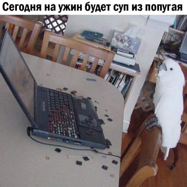 Подборка картинок. Вечерний выпуск (24 фото)