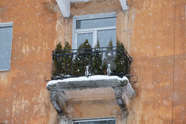 В Тульской области объявили метеопредупреждение из-за мороза 24 января