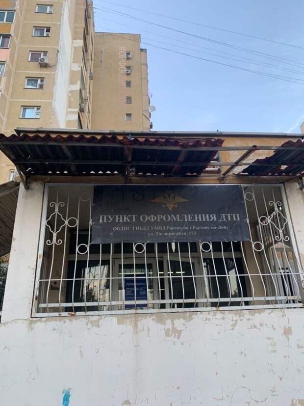 Нас окружают сплошные грамотеи Нас окружают сплошные грамотеи