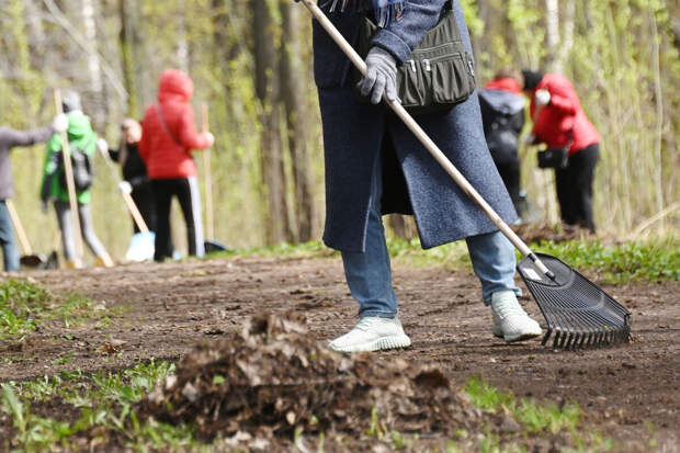 HR-эксперт Воинова: на весенний субботник не имеют права заставлять явиться