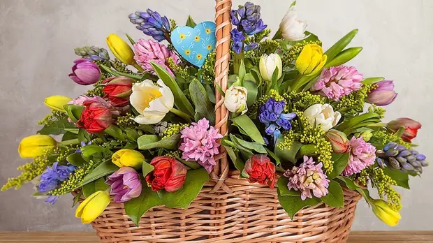 Какие цветы подарить «Джеку Лондону»