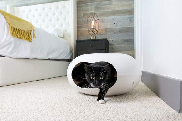 Квартирные идеи для кошек: 36 идей доказать, что они - члены вашей семьи