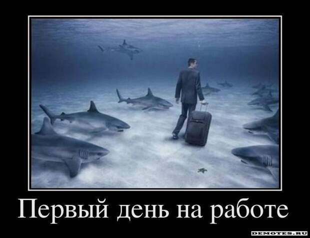 Анекдотики коротенькие, но симпатишные с демками в перемешку Анекдотики коротенькие, но симпатишные с демками в перемешку
