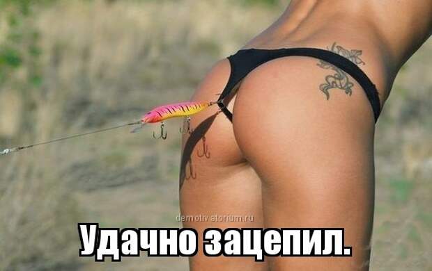 Веселые фотомемы с горячими красотками (12 фото) Веселые фотомемы с горячими красотками (12 фото)