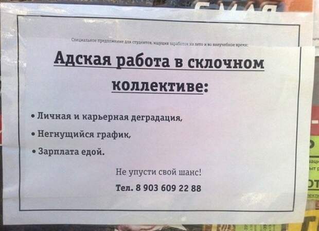 Самые весёлые объявления о приёме на различную работу
