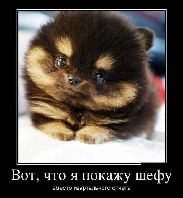 Демотиваторы (30 фото)