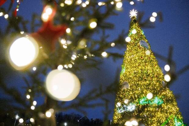 Чудо первых дней года: формулируй желания правильно