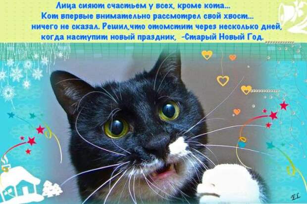 Весело, весело, встретим Новый Год ! Ох !