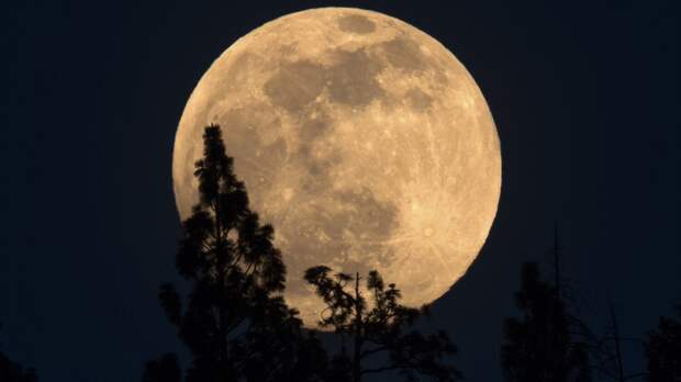 Больше половины россиян не верят, что американцы высаживались на Луну