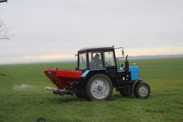 Аграрии Кошехабльского района активно подкармливают озимые культуры