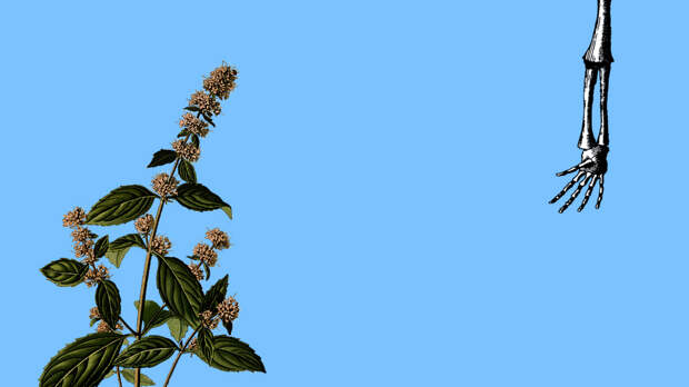 image_image