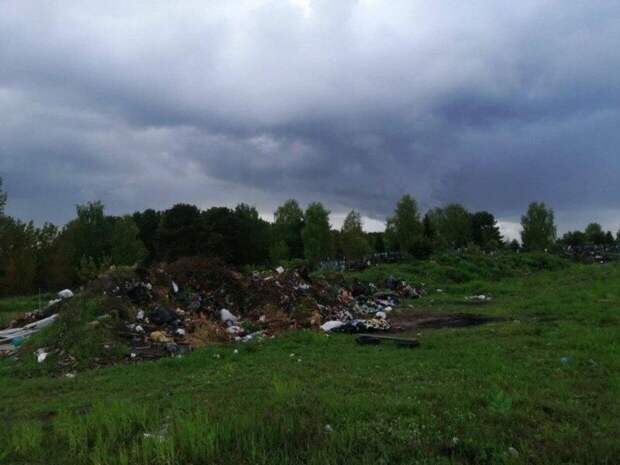 В Брянской области власти за год не убрали свалку, на которую жители пожаловались президенту