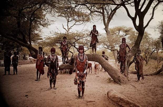 Народ хамар, Эфиопия африка, народ, племя, фото, фотограф, фотография, фотомир, фотопроект