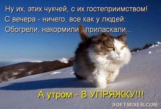 703bd7621b4d81545afb827c101_prev