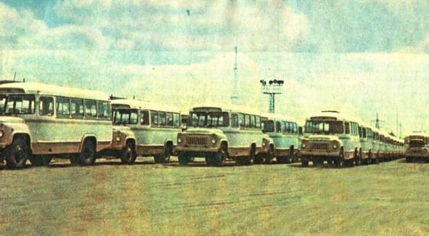 Площадка готовой продукции Курганского автобусного завода. Тираж выпускаемых этим заводом автобусов в советские годы был одним из самых больших в мире. ЛАЗ, СССР, авто, автобус, автомобили, зил, лиаз, советский автопром