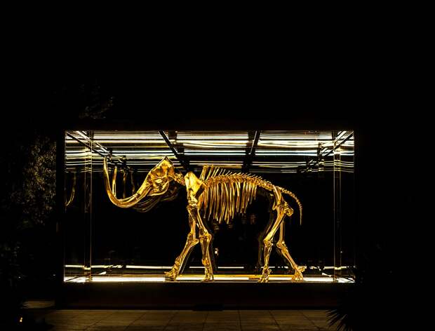 Учёные впервые изучили РНК мамонта