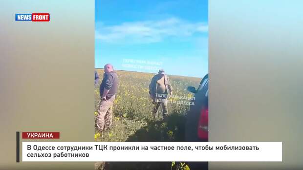 В Одессе сотрудники ТЦК проникли на частное поле, чтобы мобилизовать сельхоз работников