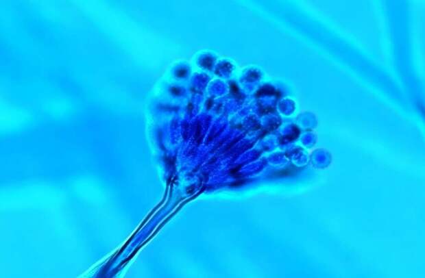 Возможно, мы "заразили" Марс земной жизнью