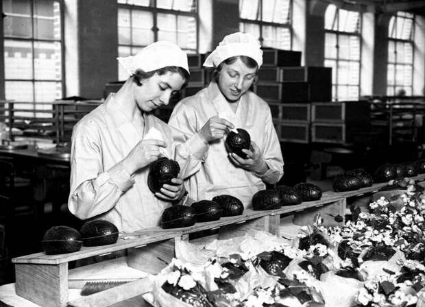 Девушки на шоколадной фабрике Cadbury вручную соединяют половинки пасхальных яиц к празднику, Англия, 1932 год. история, ретро, фото