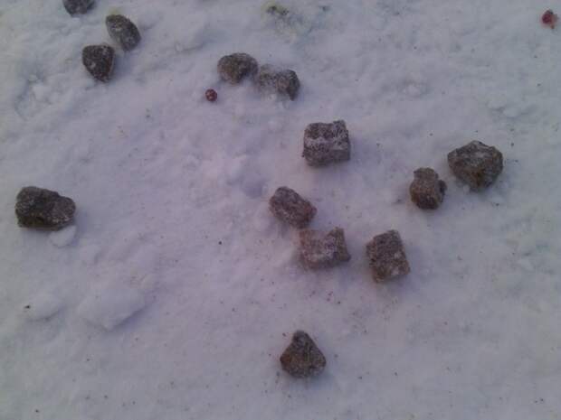 Как выглядит на снегу отрава для собак. Розовый снег отрава для собак. Розовый снег догхантеры. Оторав для собак на снегу. Оторав для собак на снегу.