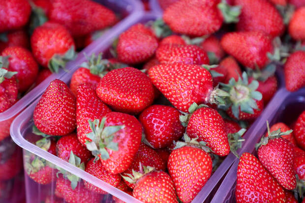 Незнакомцы в костюмах Робина Гуда стали воровать еду и раздавать ее прохожим