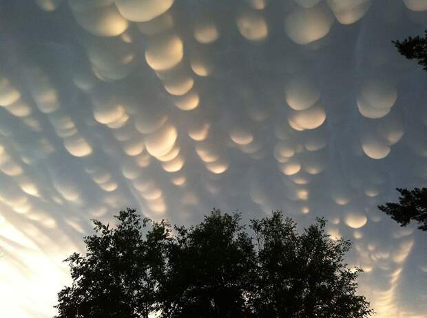 800px-Mammatus_clouds_regina_sk_june_2012