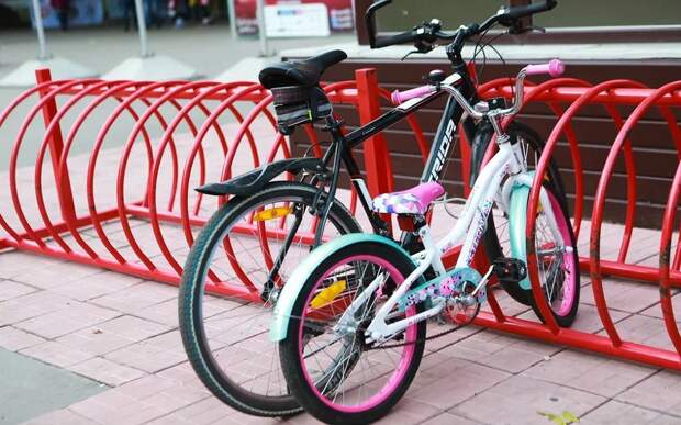 Рязанская Госавтоинспекция напомнила о детской безопасности в каникулы