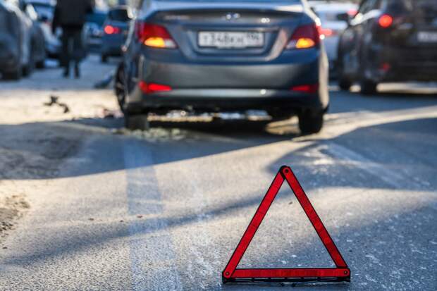 Кот спровоцировал ДТП