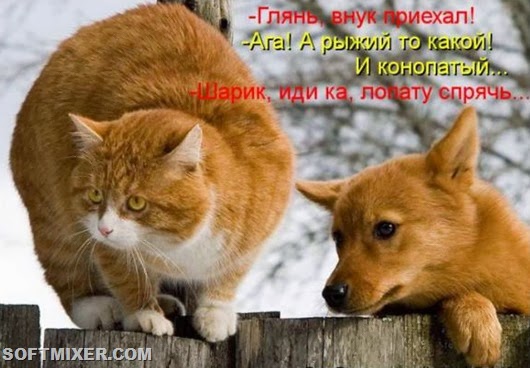 8b2e2349fa58b73a33490770102_prev