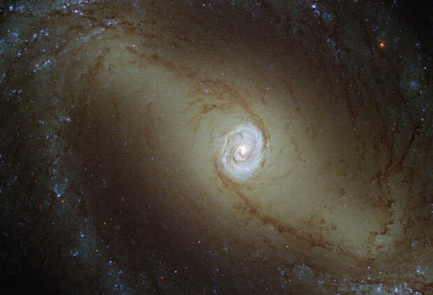 NGC 1433 NGC 1433