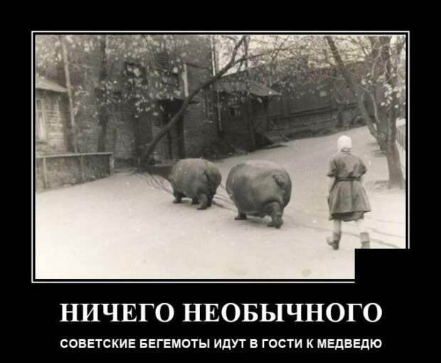 Демотиватор про необычное