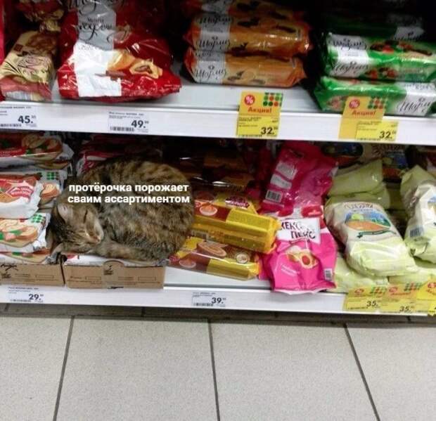 Нестандартный юмор