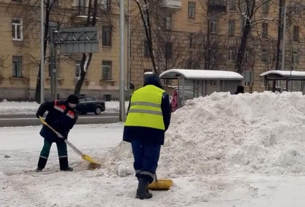 Видео: в парках и садах Красногвардейского района убирают последствия снегопада