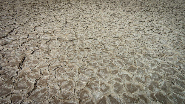 Salt Flat