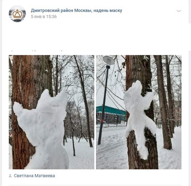 В Дмитровском заметили «снежного котика»